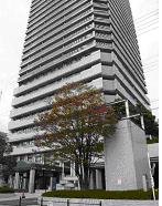 DIS_Osaka.JPG